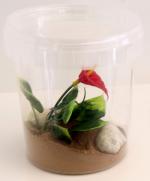 Multi Insecten Box